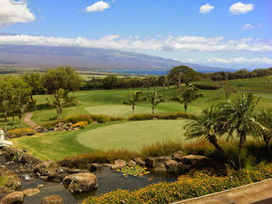 Meet your Posher, Richard